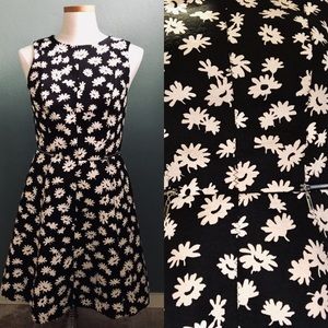 Ann Taylor daisy fit and flare dress